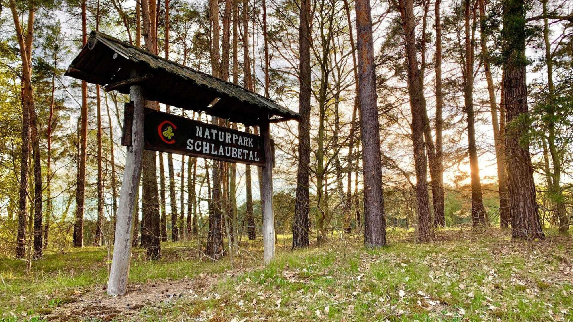 נויצלה Naturnahe Gaestewohnung Im Heidelandhaus Henzendorf מראה חיצוני תמונה